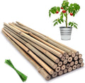Plant Stakes,18 Inches Natural Garden Bamboo Sticks, 20Pcs Plant Support Stakes for Tomatoes,Beans,Vegetable and Potted Plants | with 20Pcs Green Ties, Bamboo Sticks for Plants,Garden Stakes for Plants,Tomatoes, Beans, Vegetable and Potted Plants