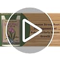 Organic Bone Meal - High Phosphorus Plant Food for Buds, Bulbs, Blooms, Flowers 3-15-0, 5 lb - view 7