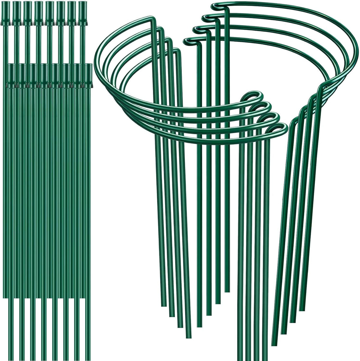 Peony Cages and Supports 24" H x 10" W, 8 Pack Tall Snake Plant Support Stake Half Round Metal Garden Stake for Indoor and Outdoor Plants, Flower Support Ring Border for Tomato,Hydrangea,Rose - view 8