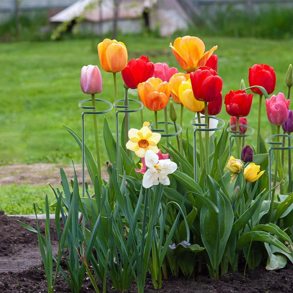 12 Pack 16 Inch Plant Support Stakes, Metal Single stemmed Flower Support Hoops，Garden Plant Stakes Plant Prop for Amaryllis Orchid Lily Rose Peony Tomatoes Gladiolus - view 8
