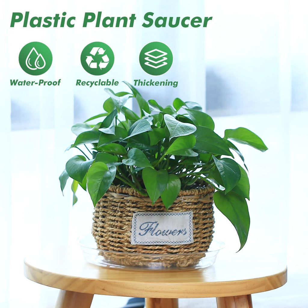 100 pack clear plant saucers for indoors (4 6 inch) flower pot saucers for potted plants plate set plant trays for indoors no holes plants saucer trays for pots drip tray plastic tray for succulent - view 2