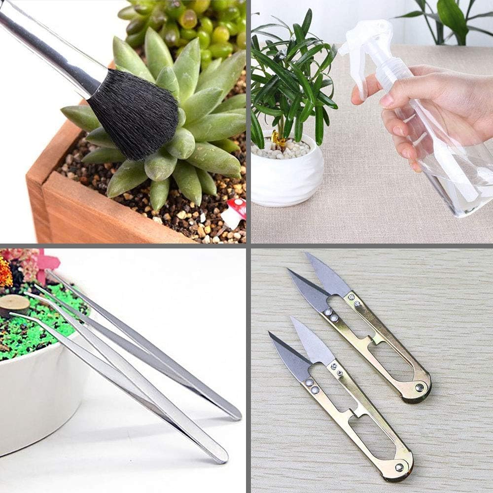 15 Pcs Succulent Plant Tools Set | Mini Garden Planting Watering Tool Kit for Succulent Miniature Gardening Plant Care - view 5