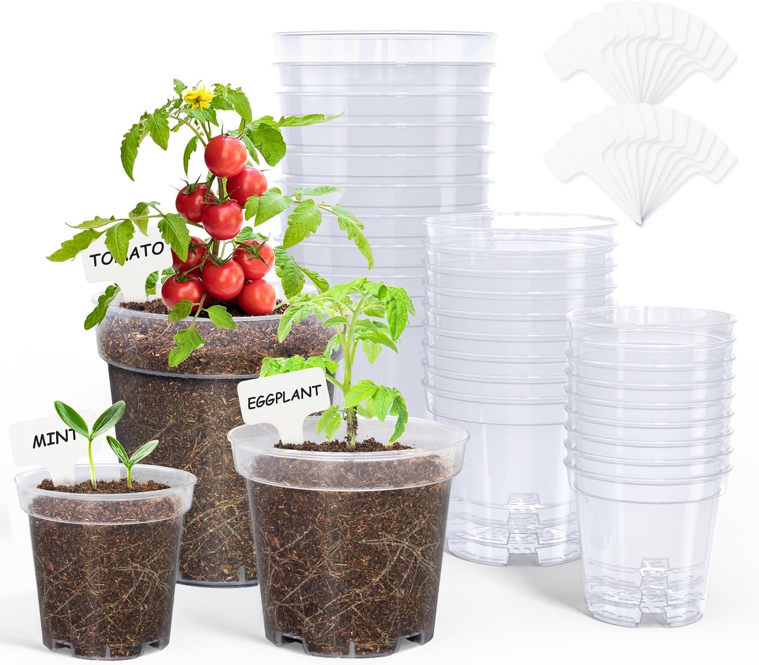 3/4/5 Inch Clear Nursery Pots with Drainage and 20 Labels (30 Pcs) | Transparent PP seedling planters reveal root growth and suit seed starting, cuttings, transplanting, flowers and vegetables.