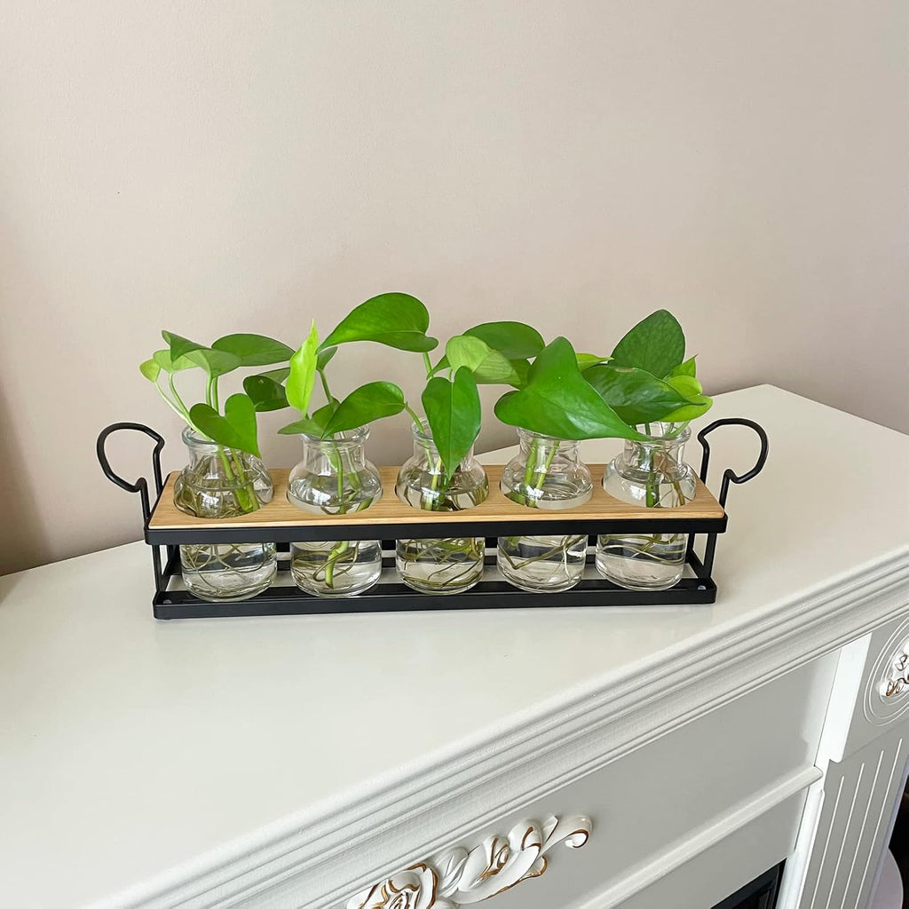 Plant Propagation Stations with Metal Stand, Tabletop Plant Terrarium for Propagating Hydroponic, Retro Glass Planter Flower Vase Home Kitchen Office Decor Gifts, 5 Jars - view 3