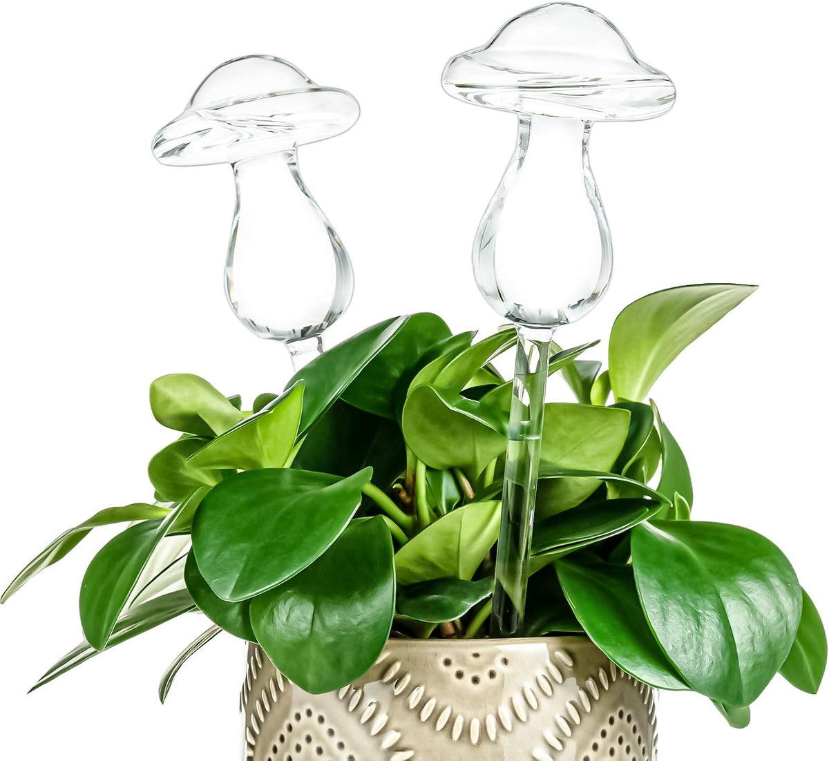 Mushroom Shaped Self-Watering Globes - 4 Pack Glass Automatic Plant Waterer for Indoor Outdoor Plants, Water Bulbs & Decorative Stakes for Plant Lovers