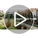 62" Round Dragon Fruit Trellis Adjustable Plant Trellis - view 7