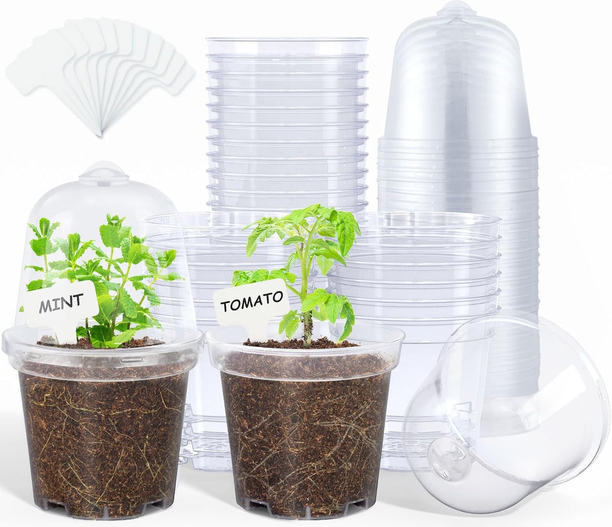 3/4/5 Inch Clear Nursery Pots with Drainage and 20 Labels (30 Pcs) | Transparent PP seedling planters reveal root growth and suit seed starting, cuttings, transplanting, flowers and vegetables. - view 8