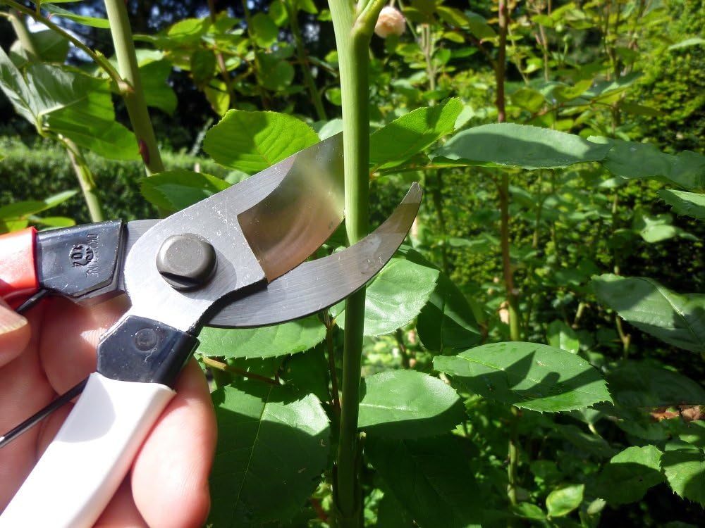 Pruning Shears Unique 8.3 inches (210 mm) (Blister) No. 104 - view 6