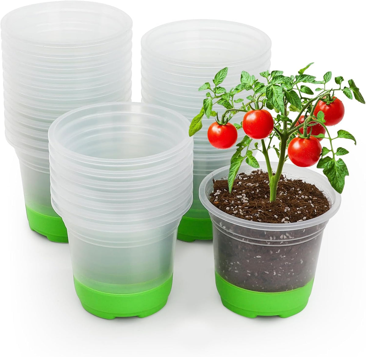 Clear Nursery Pots with Silicone Base, 4-Inch, 30-Pack | Sturdy Construction, Flexible Base, Drainage Holes, Root and Soil Visibility, Reusable, Seed Starting, Propagation, Green - view 7
