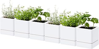 D'vine Dev 6-Pack Plastic Herb Planter Pots, 4 in, White, 76-Y-A6-1