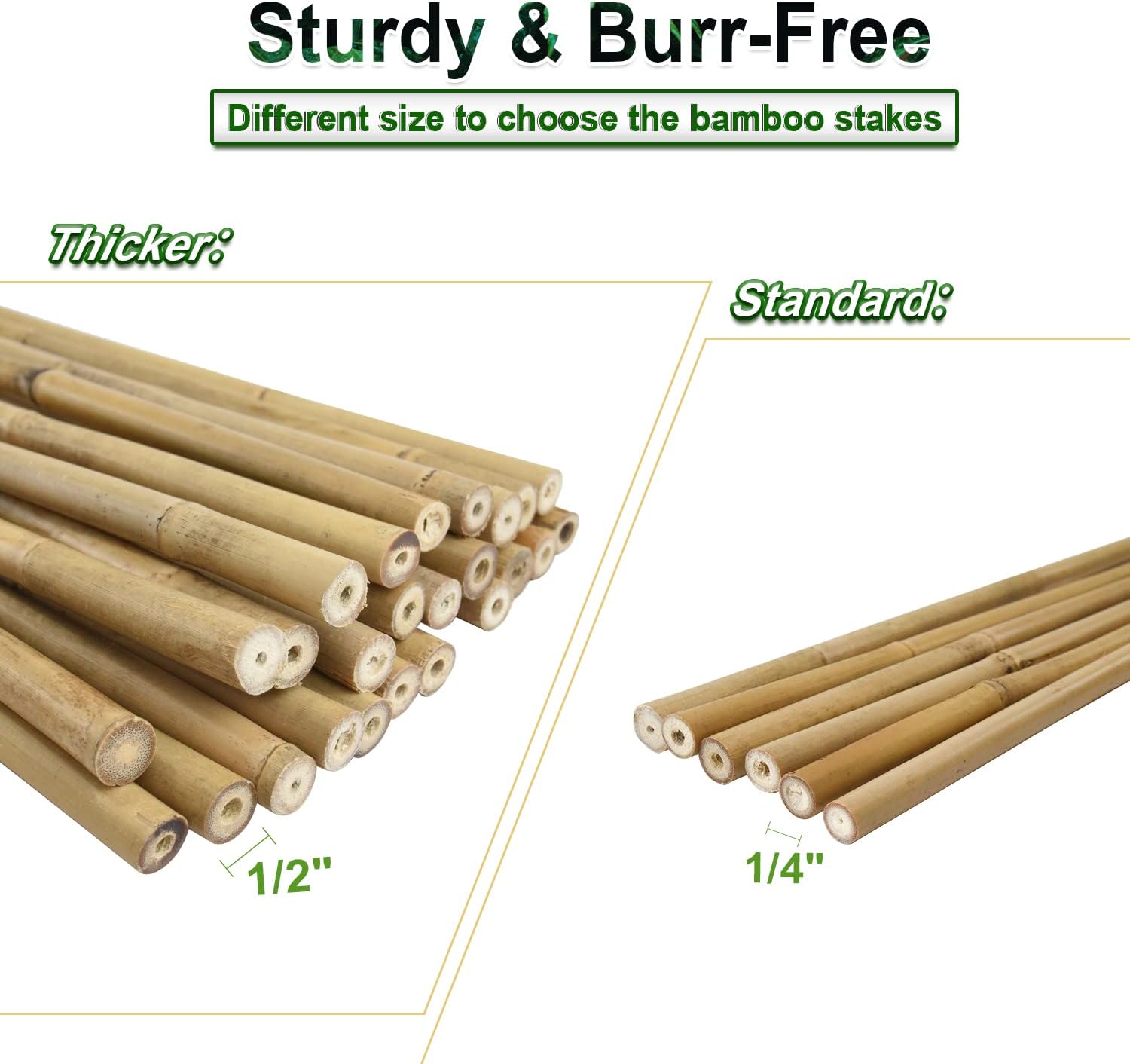 25pcs 1/2" D Thicker Heavy Duty Bamboo Stakes, 4FT Plant Stakes, Natural Garden Stakes for Tomato, Bean, Flowers,Trees Potted and Climbing Plant Support - view 5