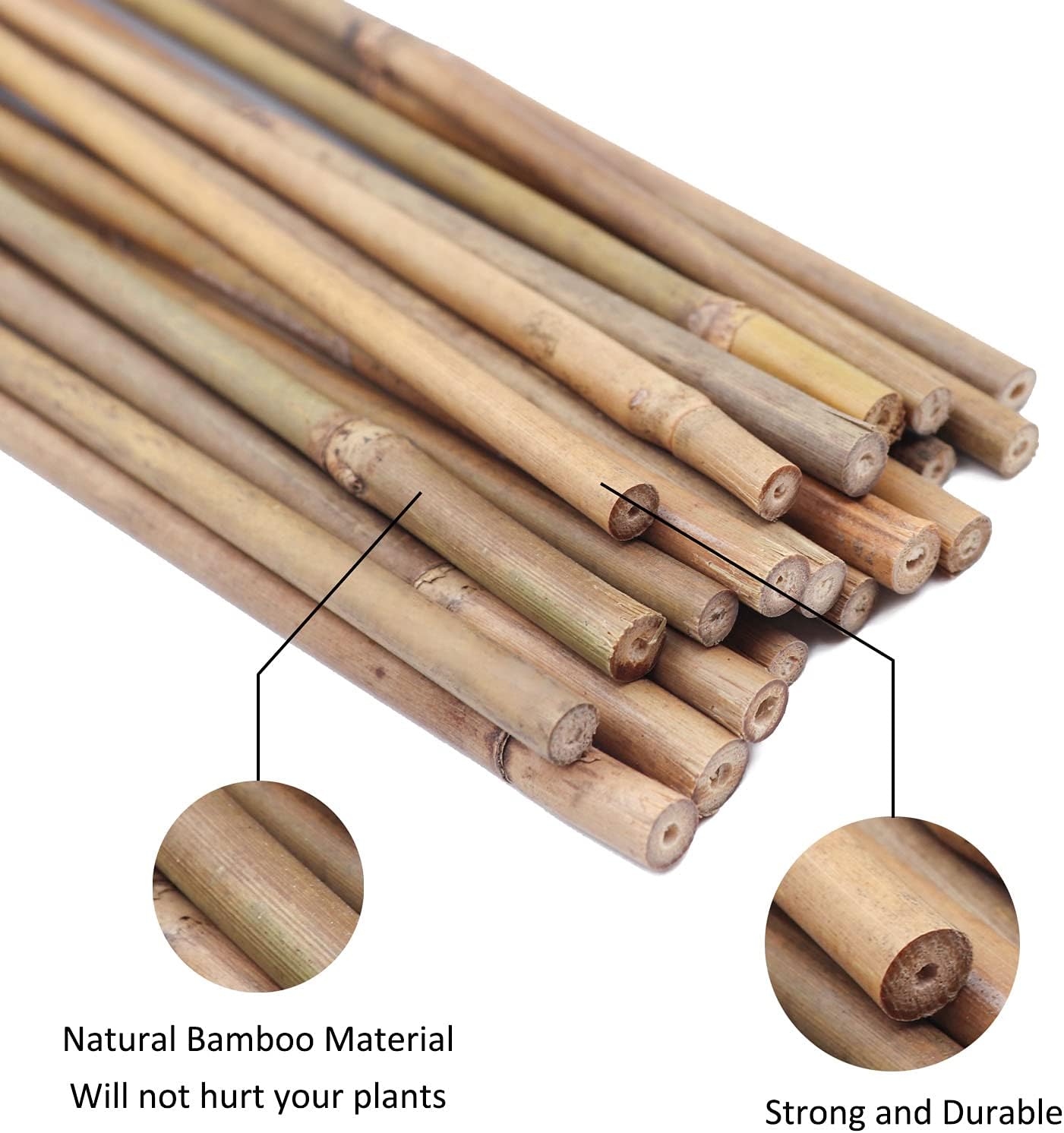 Natural Bamboo Garden Stakes, 20pcs Plant Sticks 18 inches | 18 inches sturdy bamboo garden stakes, natural plant support for tomatoes, beans and all indoor outdoor potted plants. - view 3
