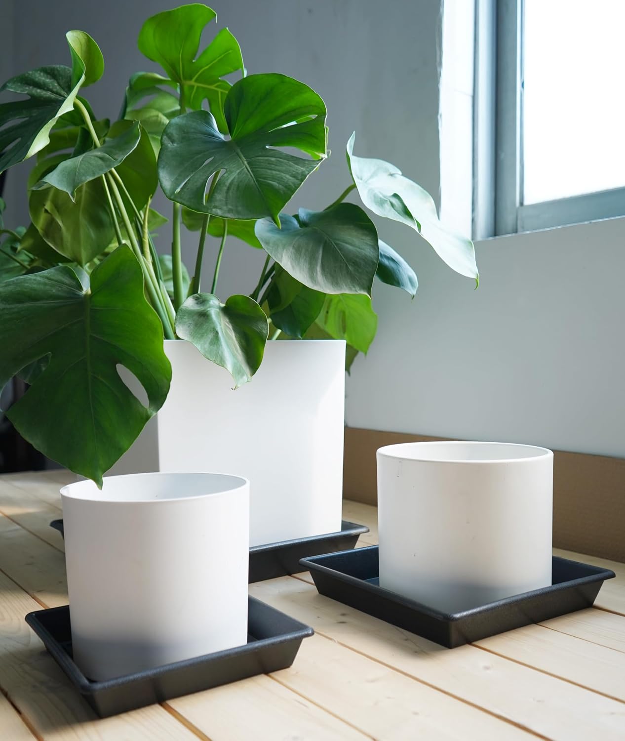 Square Plant Saucer 6 Inch 5 Pack6 8 12 14 16 18 20 Heavy Duty Plastic Plant Saucers for Indoors Outdoors, Plant Trays for Pots, Flower Pot No Holes Plant Drip Trays - view 3