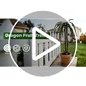 Extra Thick Adjustable Dragon Fruit Trellis, Metal Plant Trellis - view 7