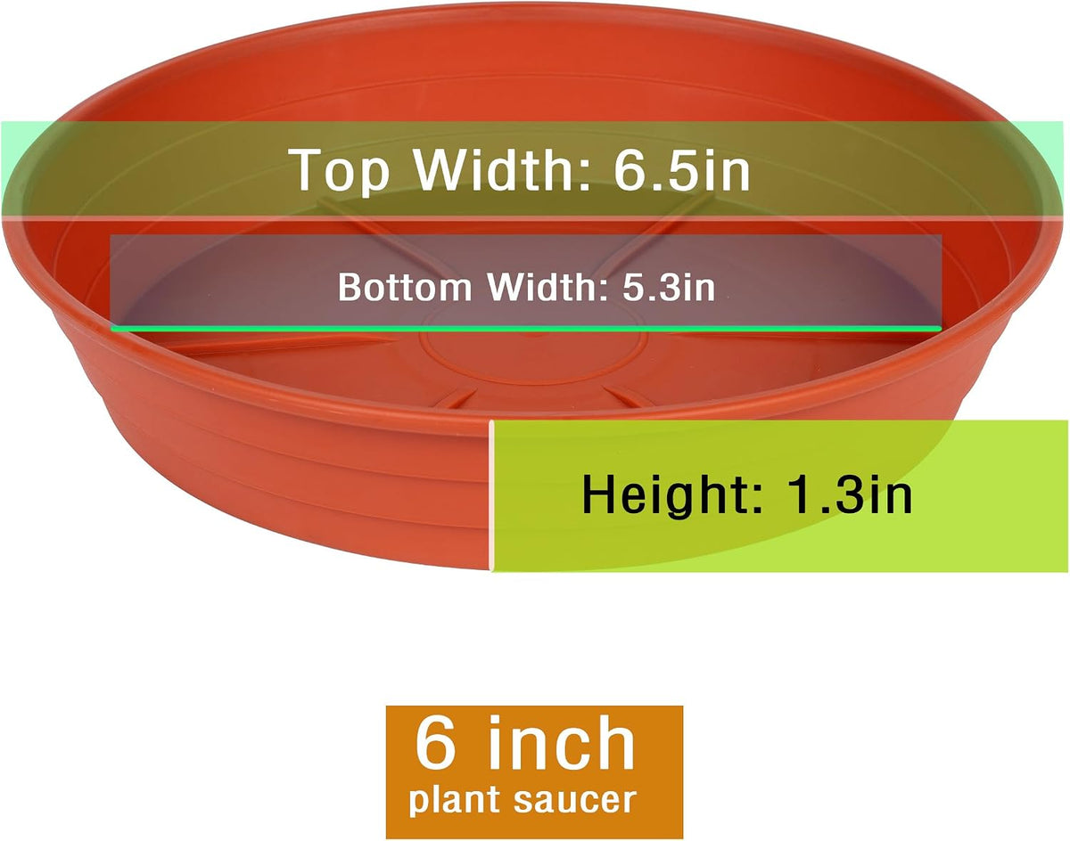 Plant saucer 6 inch 4 pack 6 8 10 12 14 16 18 20 25, plastic plant trays for pots, extra-deep plant water tray, bird bath bowl, heavy flower plant saucers indoors and outdoor no holes 6in-4 red - view 2
