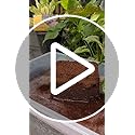 Organic Coco Coir Bricks (10 Pack) - Enriched Coco Coir for Plants - view 7