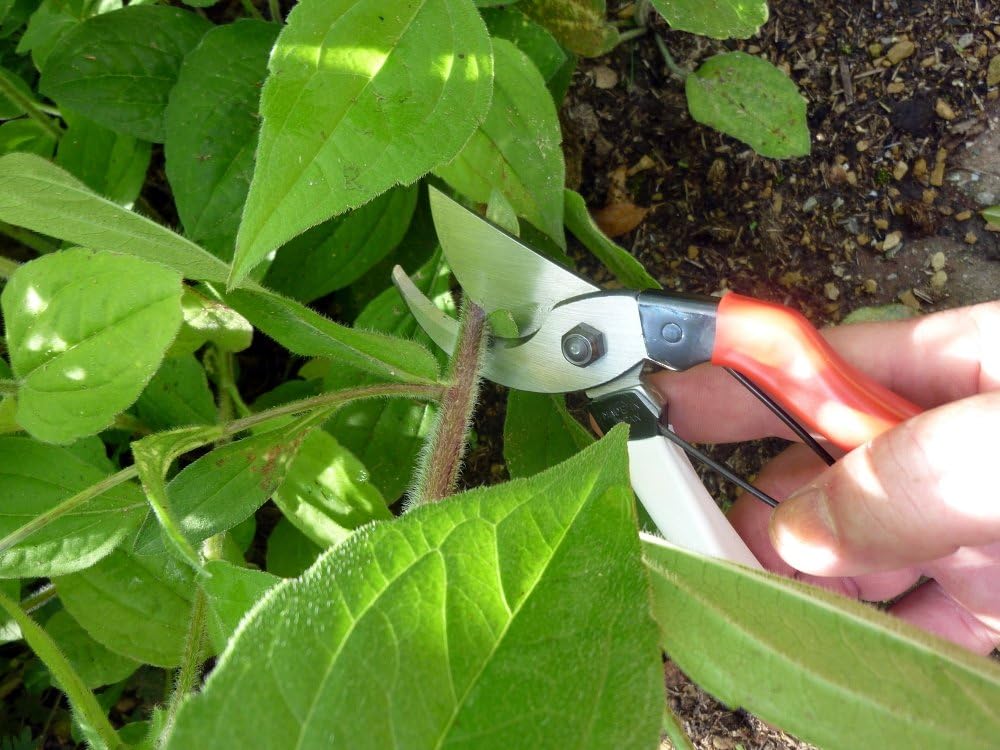 Pruning Shears Unique 8.3 inches (210 mm) (Blister) No. 104 - view 4