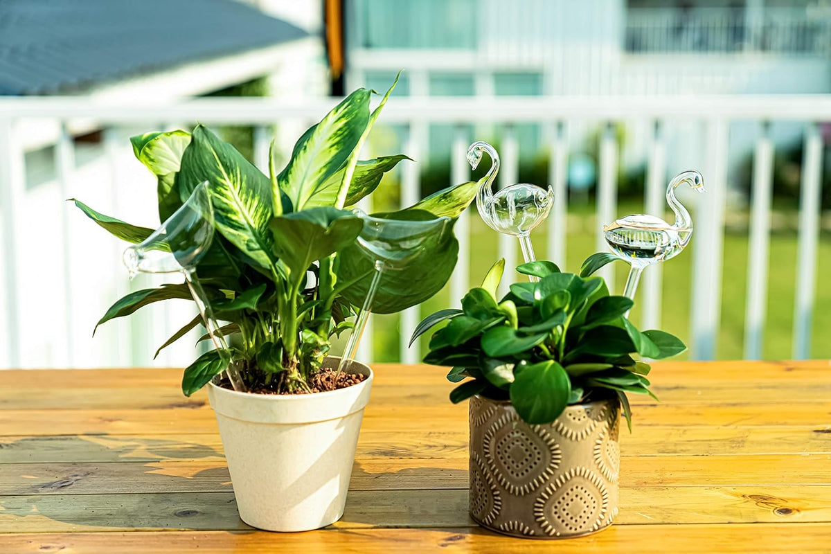 Mushroom Shaped Self-Watering Globes - 4 Pack Glass Automatic Plant Waterer for Indoor Outdoor Plants, Water Bulbs & Decorative Stakes for Plant Lovers - view 6