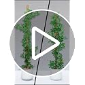 Bendable Moss Pole for Monstera, 2-Pack, 47 Inch - view 7