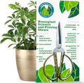 Houseplant pruning shears, stainless steel scissors for trimming & notching