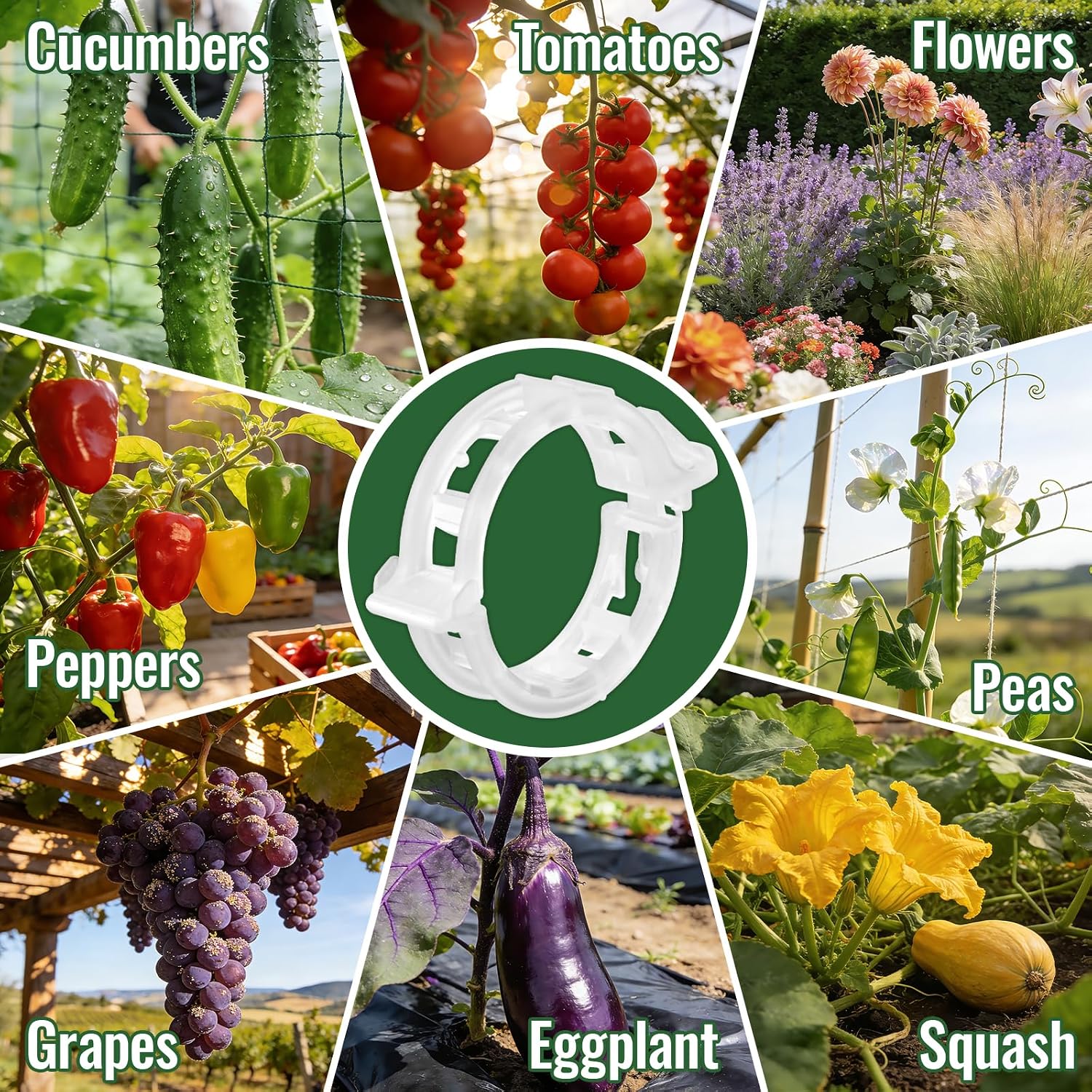 300Pcs Thickened Tomato Clips, Plant Support Clips Plastic Trellis Clips | Plant Clips for Grape Vine, Tomato Vine, Vegetable Plants, to Grow Upright Makes Plants Healthier, White - view 3