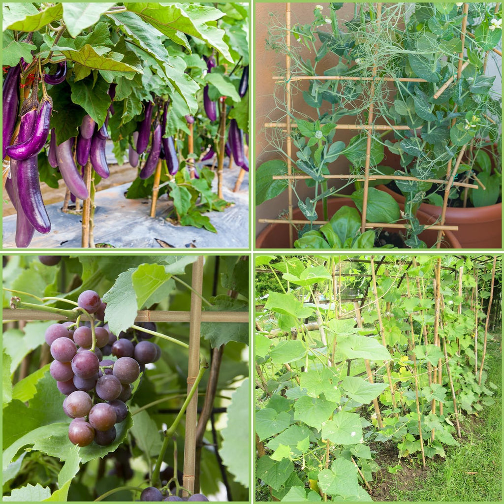 Natural Bamboo Garden Stakes, 4FT Trellis Plant Support 25Pcs | 4FT sturdy longer bamboo sticks for trellis, support tomato, vegetables, beans, trees and climbing plants indoor & outdoor. - view 6