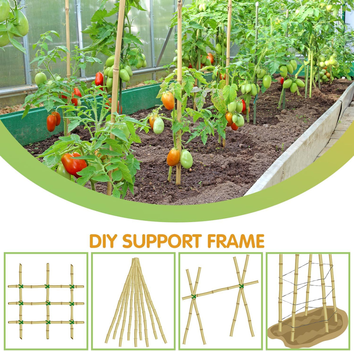 Natural Bamboo Garden Stakes, 4FT Trellis Plant Support 25Pcs | 4FT sturdy longer bamboo sticks for trellis, support tomato, vegetables, beans, trees and climbing plants indoor & outdoor. - view 5