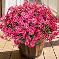 24 Bundles Artificial Fake Flowers Plants for Outdoor Decoration(Dark Pink)