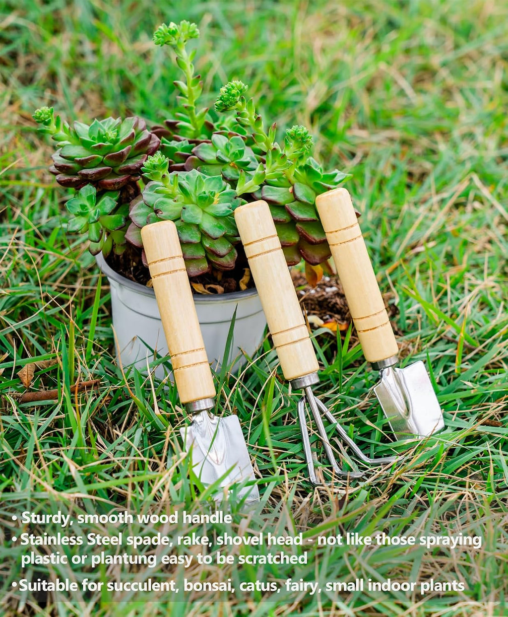 Plant Repotting Mat, 5Pcs Succulent Tools Mini Garden Small Gardening Tools Indoor, Pruning Shear Gardening Scissor, Hand kit for Bonsai, Cactus, Fairy, Houseplant Transplanting, Seedling - view 5