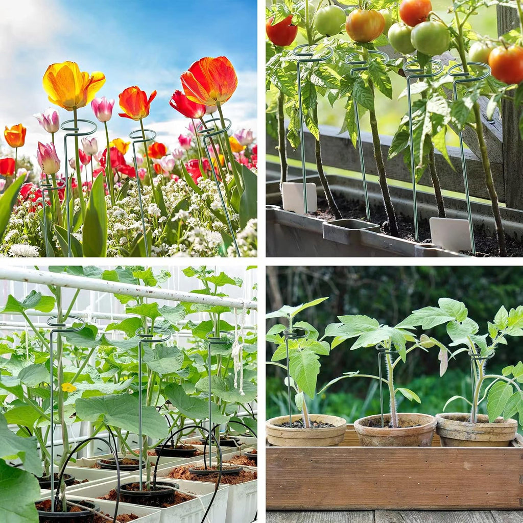 12 Pack 16 Inch Plant Support Stakes, Metal Single stemmed Flower Support Hoops，Garden Plant Stakes Plant Prop for Amaryllis Orchid Lily Rose Peony Tomatoes Gladiolus - view 5