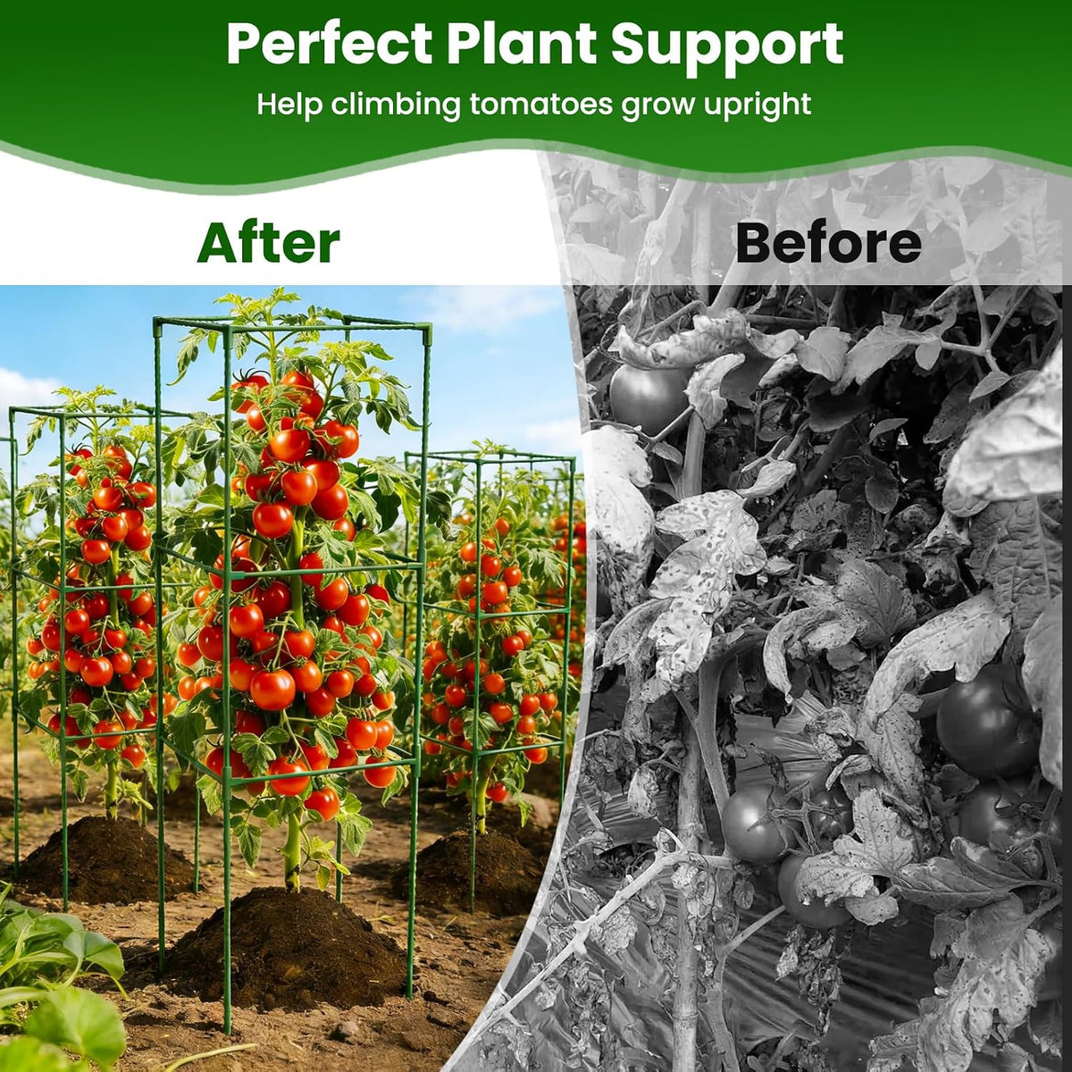 3 Pack Tomato Cages, 48'' Tall Tomato Plant Stakes Support for Raised Garden Bed Tomato, Square Trellis Cages for Garden Climbing Vegetables Flowers Fruits - view 4