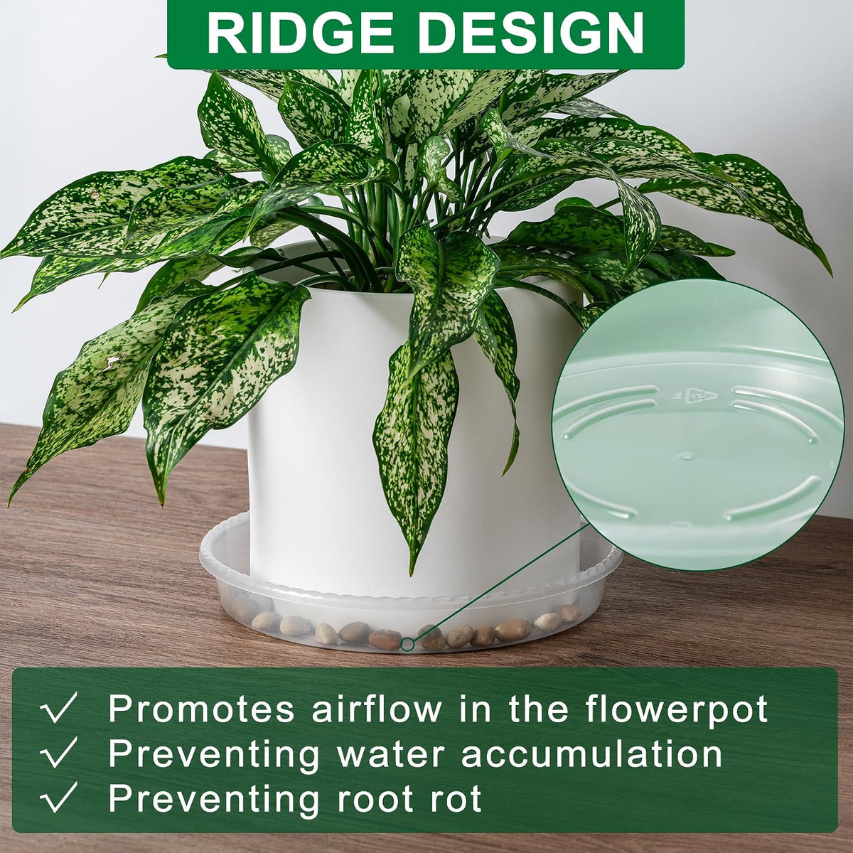 Plant saucer tray - 6 pack 10 inch plastic plant trays for pots with plant tray design - clear plant saucers for outdoors and indoors use - plant pot saucers for potted plants - plant drip trays - view 5