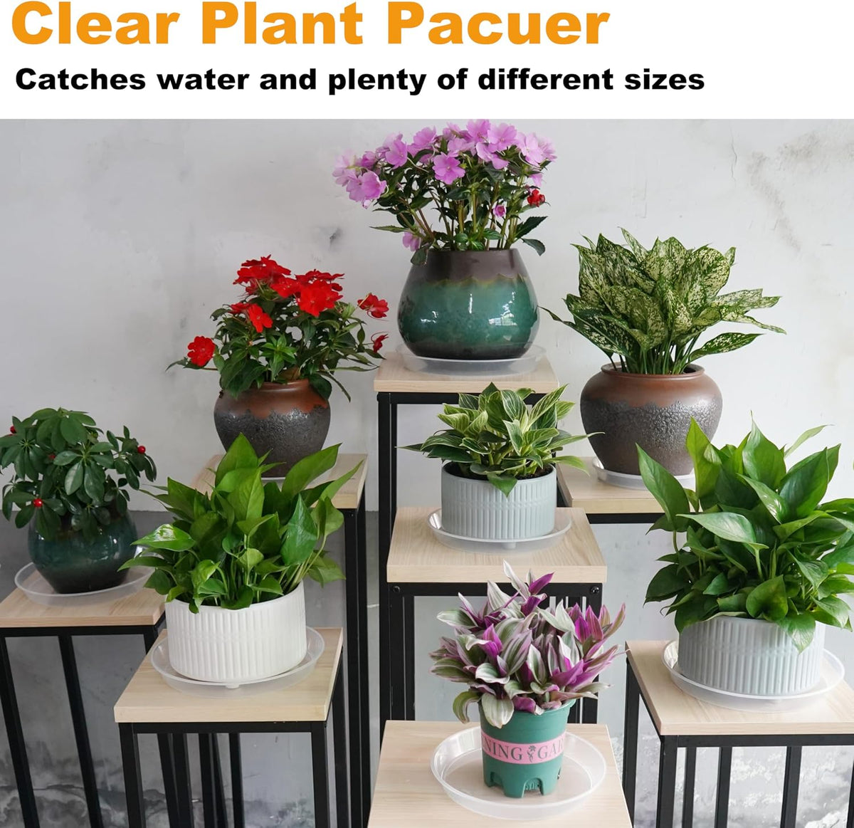 20 Pack Plant Saucer Tray (6 8 10 12 inch), Plant Saucers for Indoors Outdoor, Plastic Heavy Duty Drainage Drip Water Trays for Planter Pots Flower, Clear Pot Saucers Trays for Plants - view 3