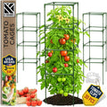 Tomato cage square - large trellis stakes and plant support structures for vegetables and climbing plants - tall tomato cages for garden, pots, raised garden bed outdoor supplies (3 pack - up to 58")