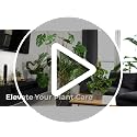 2 Pack 63 Inch Bendable Moss Pole Monstera Plant Support Stakes for Indoor Plants - Tall Moss Stick Trellis for Potted Climbers - Stem Support Accessories for Climbing Houseplants - view 7