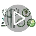 24 Pack Plant Support Stake, Half Round Metal Garden Plant Stake, Green Plant Support Ring, Border Support with Plant Lables & Plant Clips for Outdoor Indoor Plants, Vegetable, Flowers - view 7