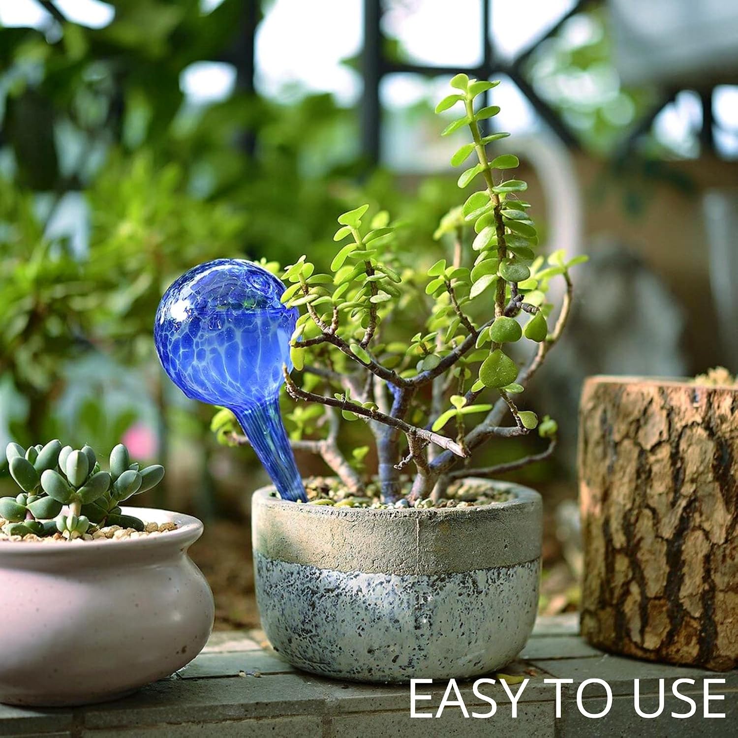 2 large 3 small glass plant watering globes - plant watering devices - plant watering bulbs - self watering spikes - self watering planter insert - free moisture meter - view 3