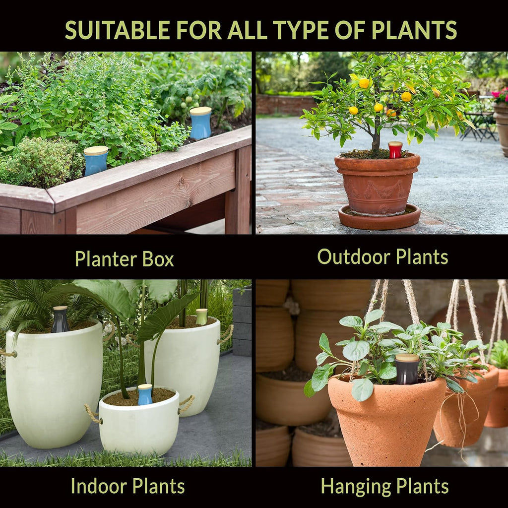 Ollas (set of 4) | 12oz terracotta plant watering globes - self watering planter insert - automatic plant watering devices | vacation watering pots for indoor & outdoor plants - view 6