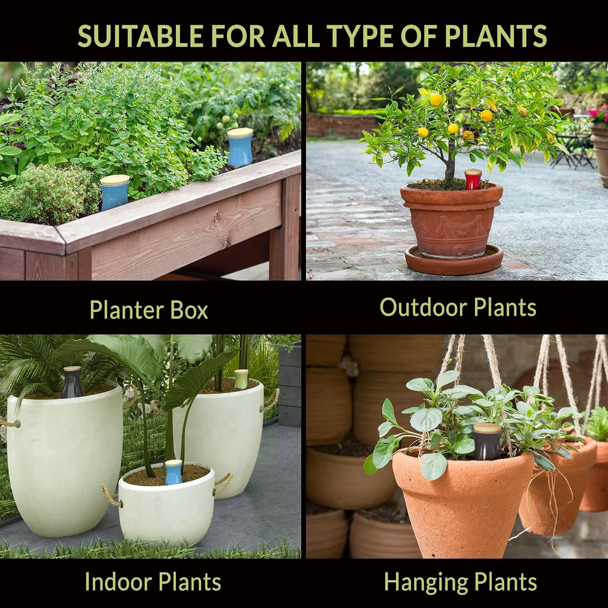 Ollas (set of 4) | 12oz terracotta plant watering globes - self watering planter insert - automatic plant watering devices | vacation watering pots for indoor & outdoor plants - view 6
