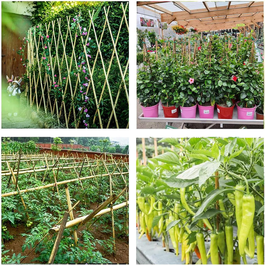 Bamboo Stakes 4ft Natural Plant Stakes for Tomatoes, Beans, Climbing Plants Support - 25 Pack Bamboo Sticks for Plants - view 7