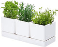 D'vine Dev Plastic Herb Garden Planter Set, White, 76-V-A-1