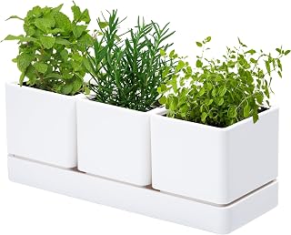 D'vine Dev Plastic Herb Garden Planter Set, White, 76-V-A-1