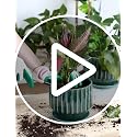 Plant Pots 6 inch Ceramic Pots for Indoor Plants Set of 2 Flower Pots Unique Crackle Glaze Design Plant Pots with Drainage Hole and Saucer Come with Drainage Nets (Aqua Green) - view 7