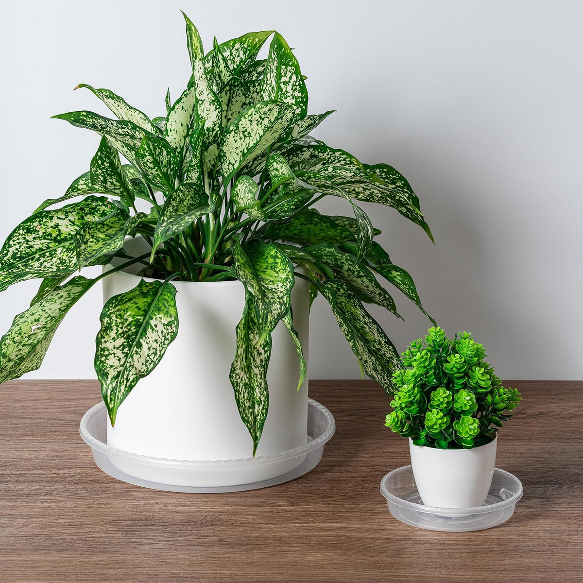 Plant saucer tray - 6 pack 10 inch plastic plant trays for pots with plant tray design - clear plant saucers for outdoors and indoors use - plant pot saucers for potted plants - plant drip trays - view 3