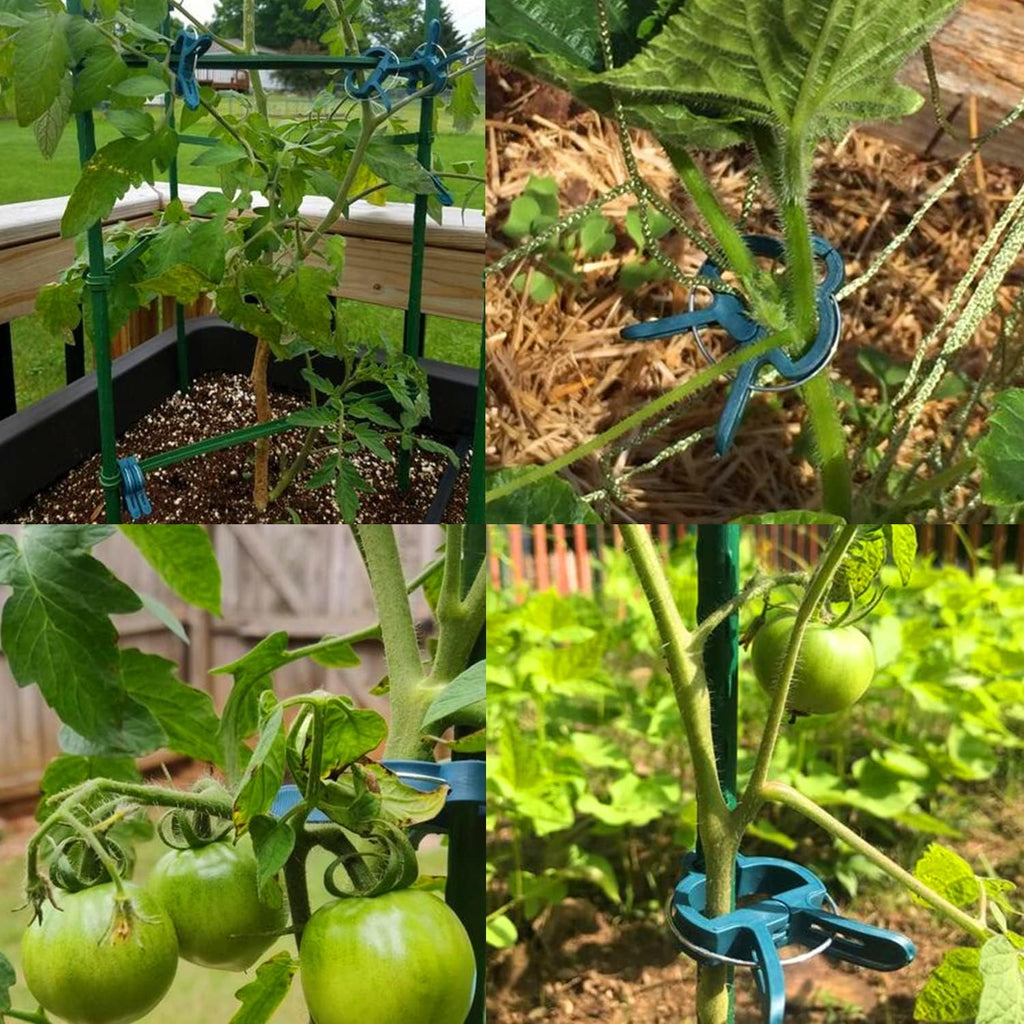 40 Pcs Plant Support Clips,Tomato Plant Clips 2 Sizes in one Pack | Flower and Vine,Garden clips for Supporting Stems,Vines Grow Upright Climbing,Tool for Straightening,Tomato Cage,Trellis. - view 8