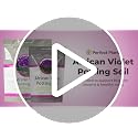 African Violet Potting Soil, 2 qt, Organic Mix - view 7