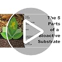 ABG Mix Bioactive Terrarium Substrate (4 Quart/1 Gallon) - view 7