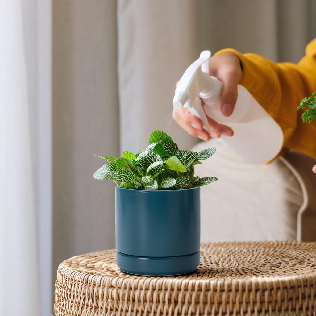 4.7 Inch Ceramic Planter Pot, Teal, 94-O-B-9 | Modern Cylinder Design, Drainage Hole & Saucer Included, Stable Structure, Elegant Home Accent - view 7