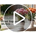 6 Pack Plant Support Stakes Peony Cage 10" W x 24" H Heavy Duty Ring Metal Garden Support Structures Plant Cage with Ties for Indoor Flower Outdoor Tomato Hydrangea Monstera - view 7