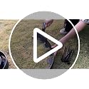 8 Inch Plastic Landscape Anchoring Garden Spikes 25 Pcs - view 7